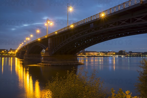 Theodor Heuss Bridge