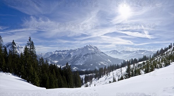 Snowy landscape