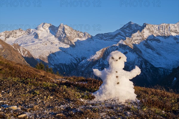 Snowman on brown meadow