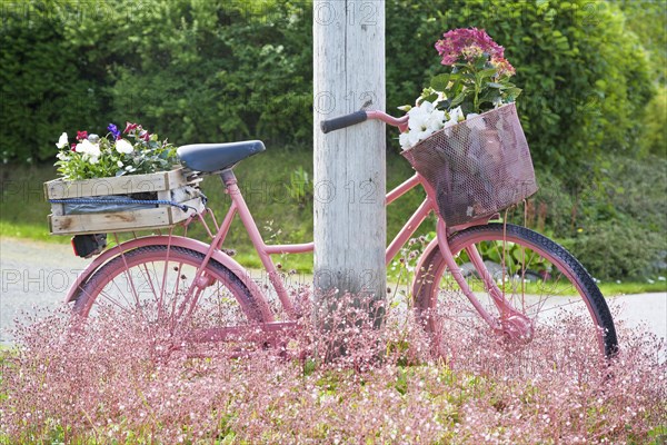 Muted pink bicycle with flowers