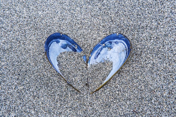 Heart-shaped shell in the sand