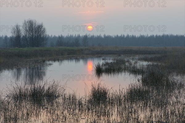 Sunset in the re-waterlogging area