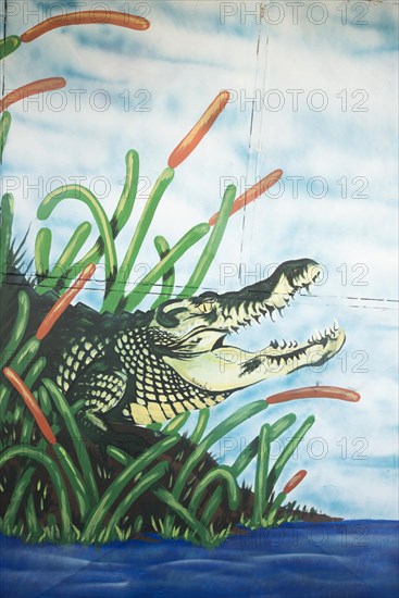 Graffiti of a crocodile