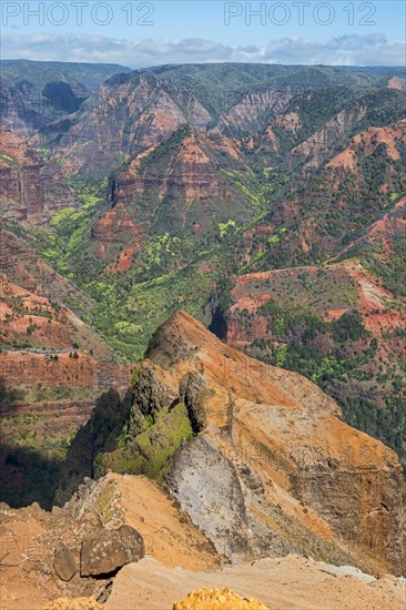 Waimea Canyon State Park or Grand Canyon of the Pacific