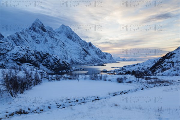 Landscape in winter