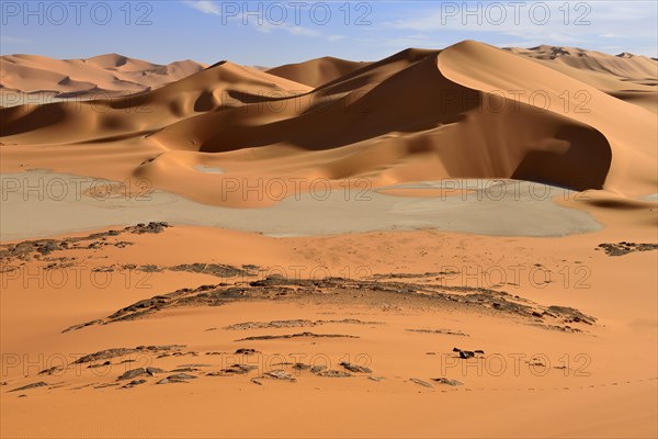 Sand dunes and claypan