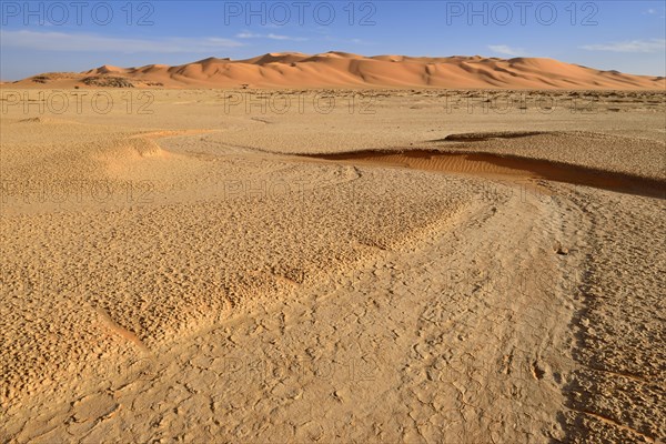 Sanddunes and claypan