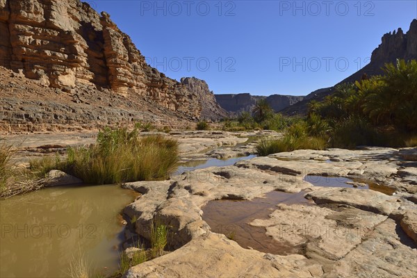 Water in Iherir Canyon