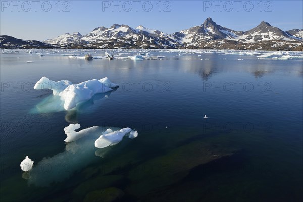 Icebergs in Kong Oscars Havn near Tasiilaq