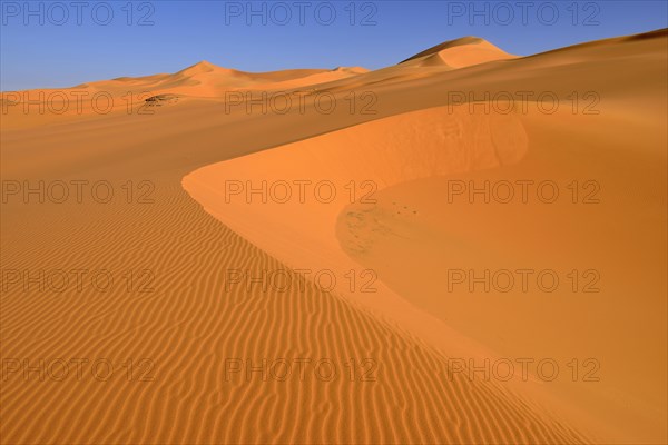 Sanddunes