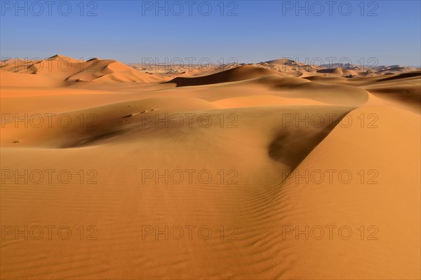 Sanddunes