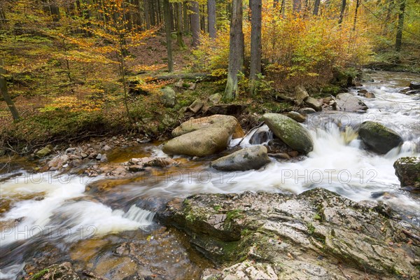 Mountain stream Ilse in autumn