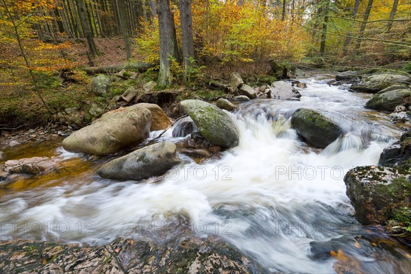Mountain stream Ilse in autumn