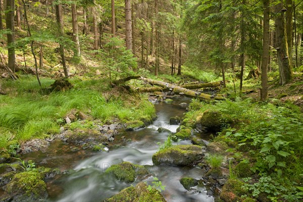River Vesser