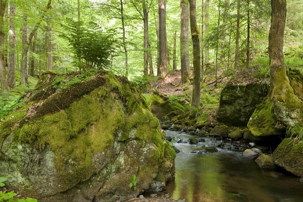 River Vesser