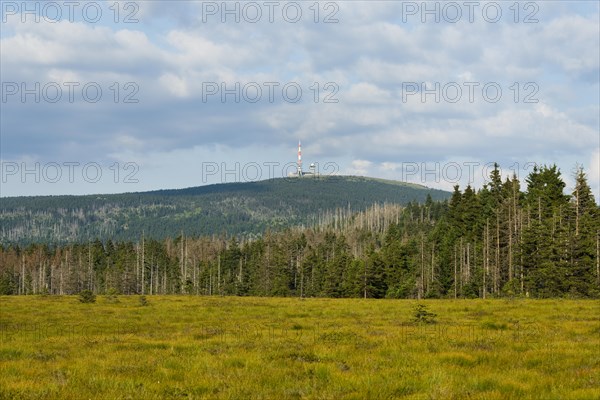 Torfhausmoor raised bog with view towards the Brocken mountain