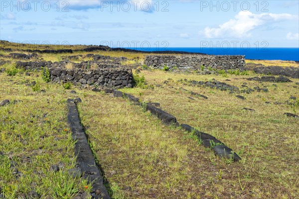 Foundations of elliptical houses