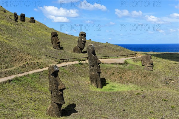 Moais in Rano Raraku