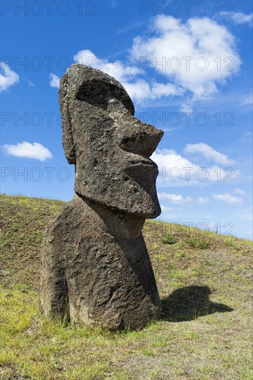 Moai in Rano Raraku