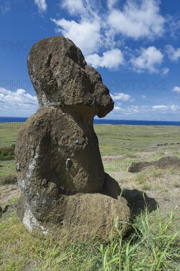 Moai in Rano Raraku