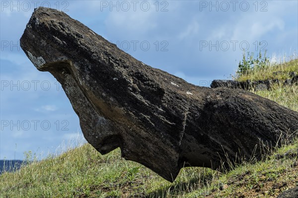 Moai in Rano Raraku