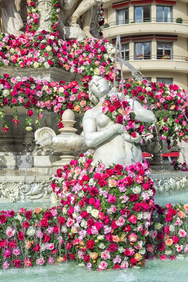 Jacobins square during the 17th World Convention of Rose Societies in 2015, Lyon