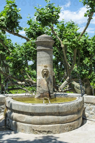 Fountain