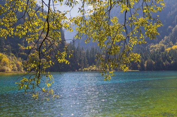 Colorful Lake