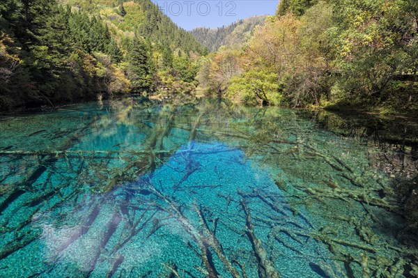 Colorful Lake