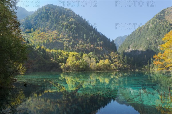 Colorful Lake