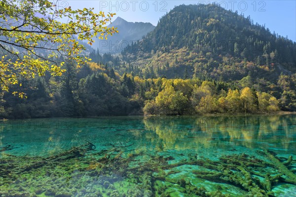 Colorful Lake