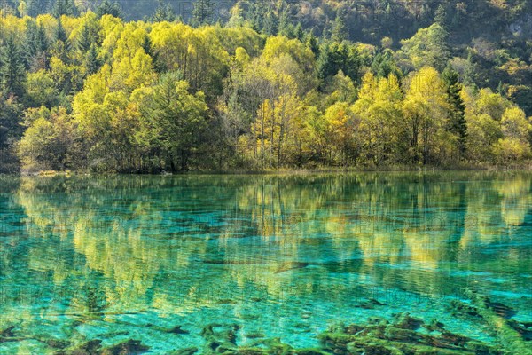 Colorful Lake