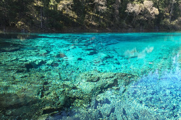 Five Color Pool or Pond