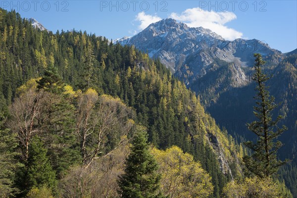 Mountain landscape