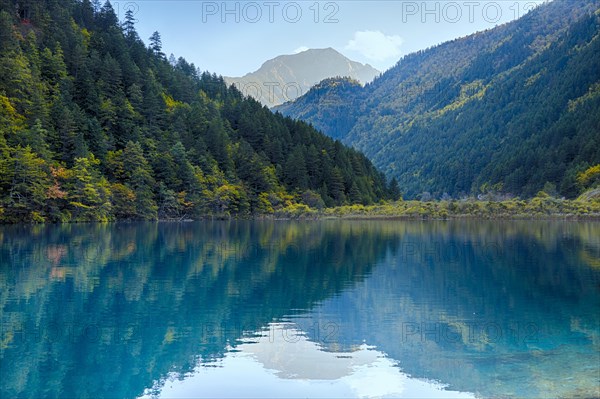 Arrow Bamboo Lake