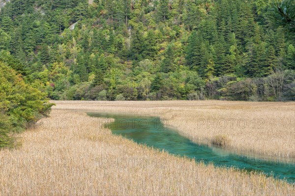 Reed Lake