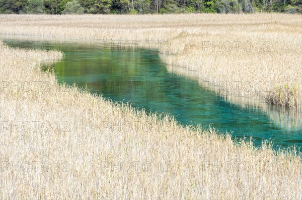 Reed Lake