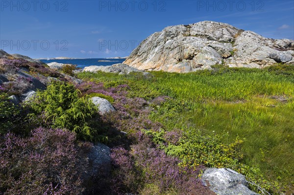 Coast of the archipelago on Gullholmen island