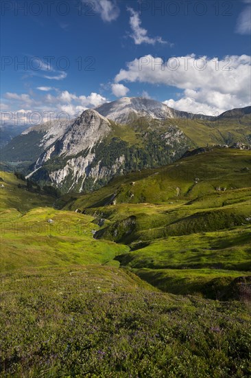 View towards Riedingtal