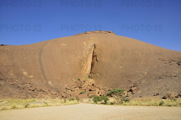 The labia of Aicha