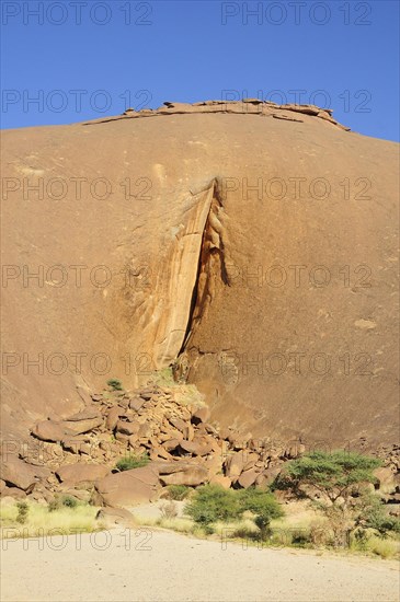 The labia of Aicha