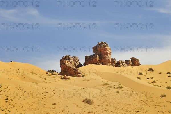 Hill almost fully covered with sand from a sand dune