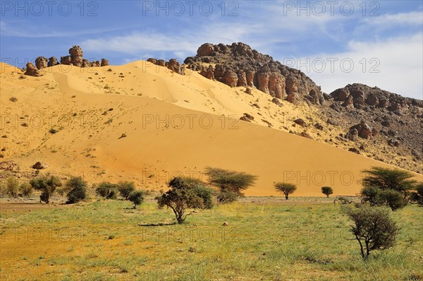 Hill almost fully covered with sand from a sand dune