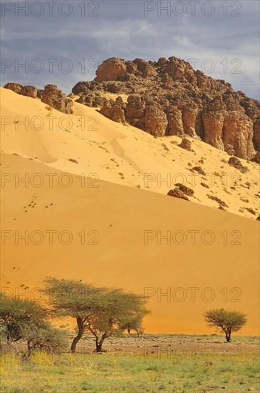 Hill almost fully covered with sand from a sand dune