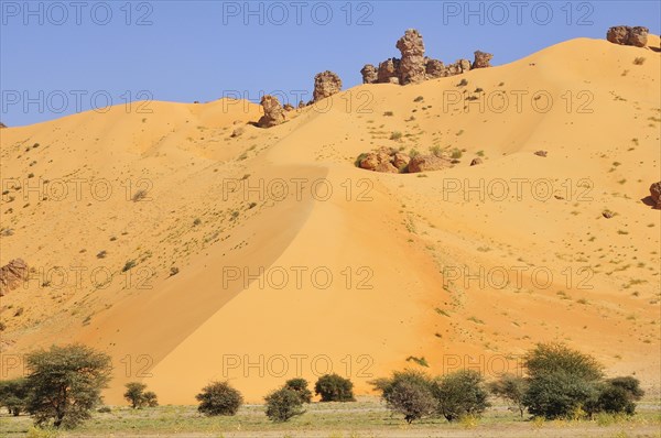 Hill almost fully covered with sand from a sand dune