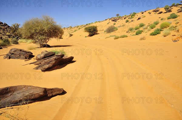 Tire tracks in the sand