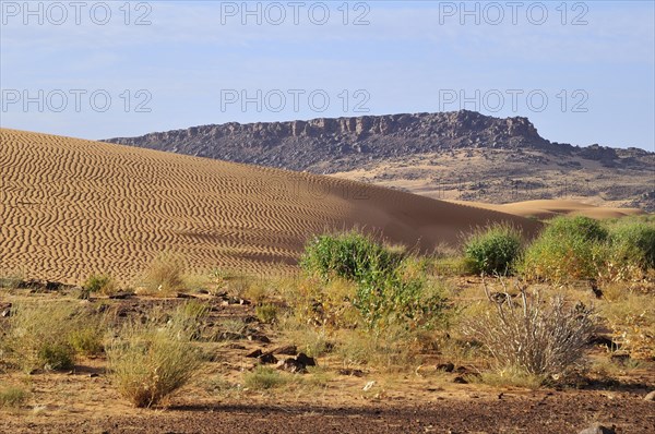 Desert landscape with sand dune and rocky hills