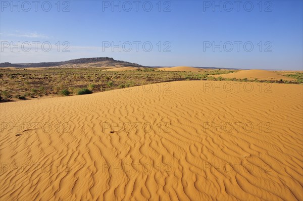 Desert landscape with sand dune and rocky hills