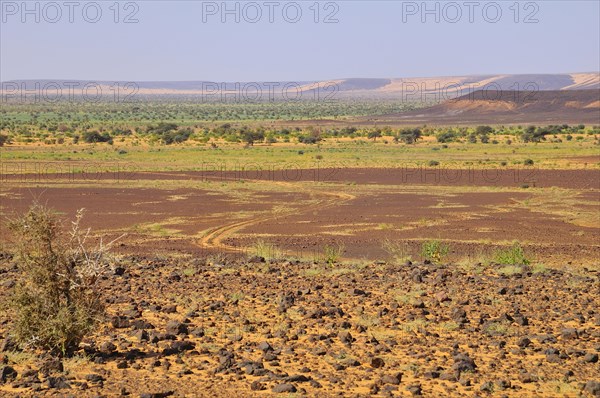 Desert landscape with tire tracks