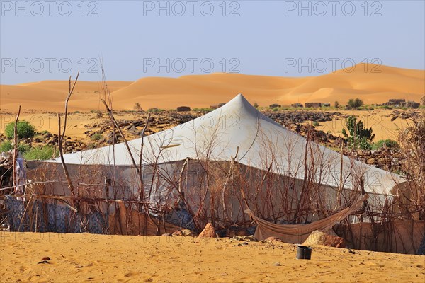 Nomad tent in an oasis